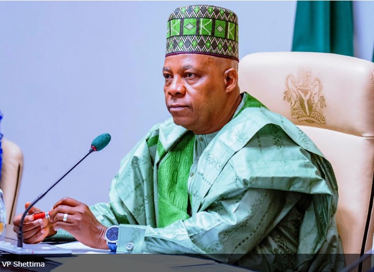 Vice President Kashim Shettima